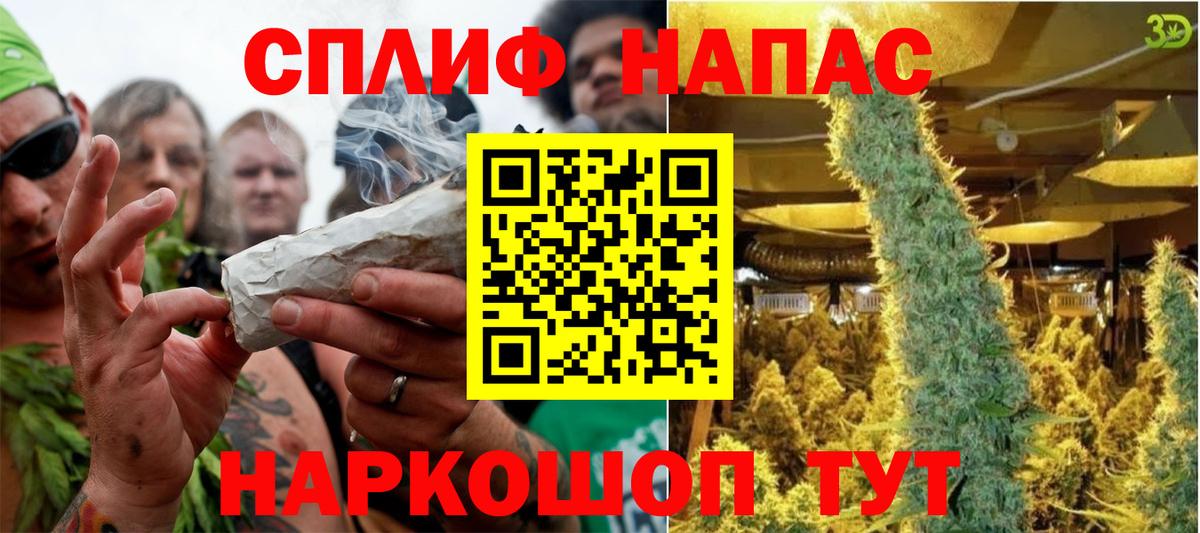Конопля марихуана Гудермес
